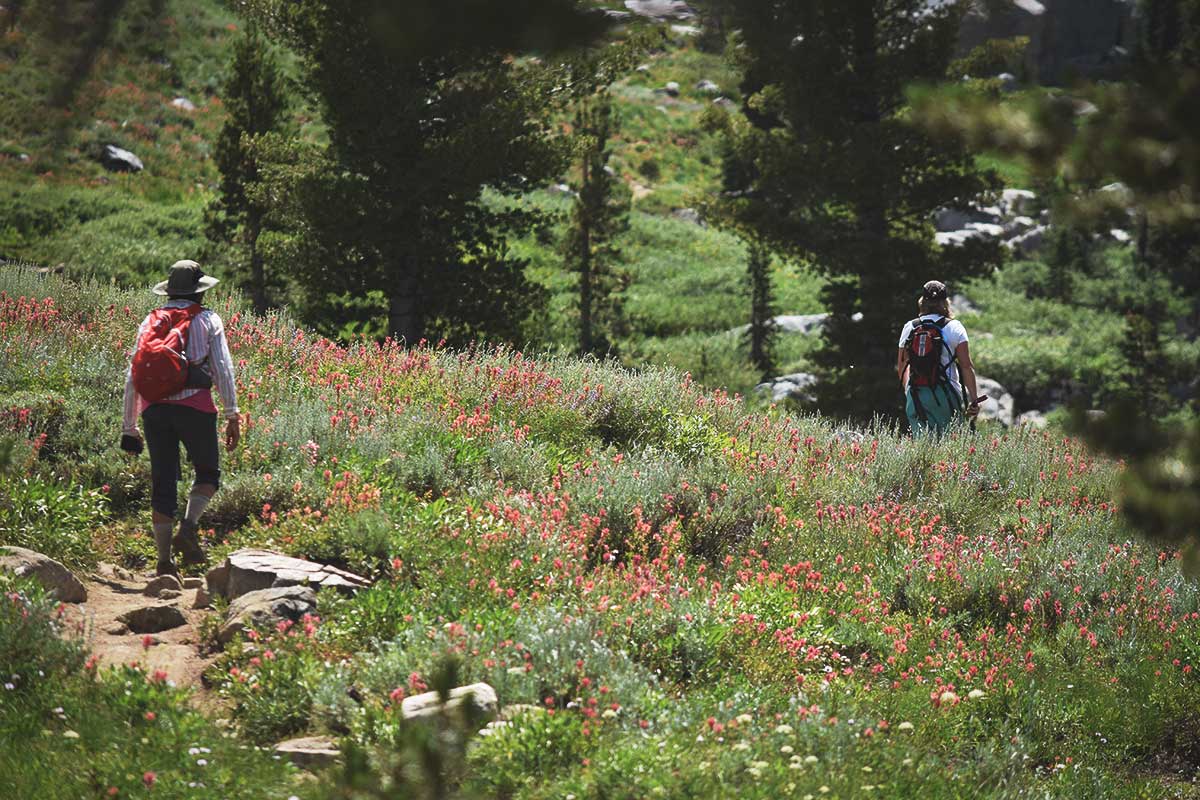 Two women hiking through a field of wildflowers