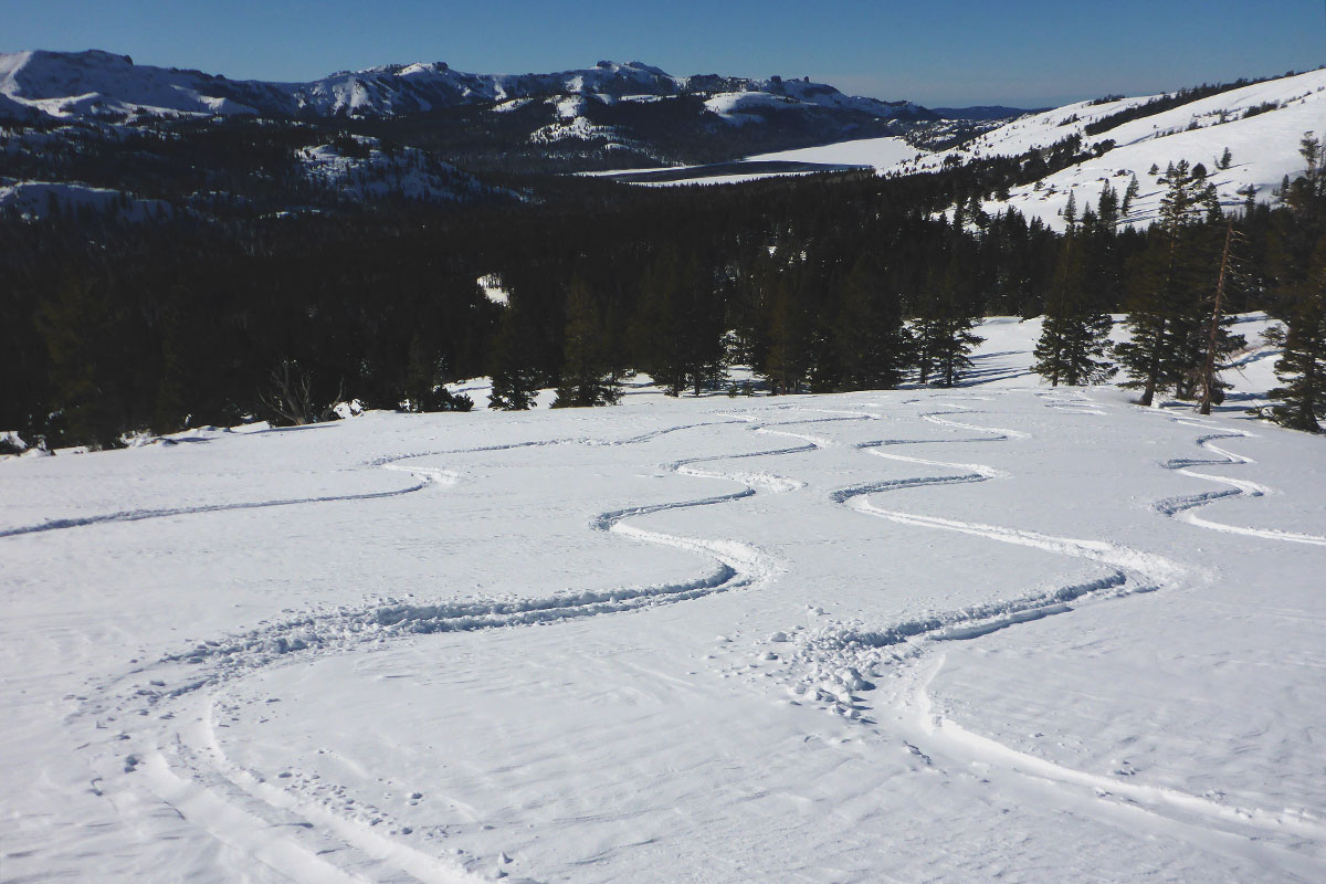 Carve lines from skiing on a snowy mountain