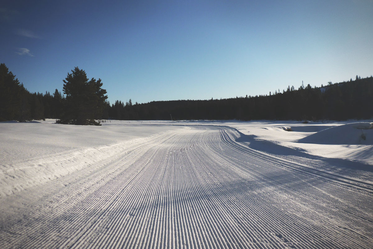 Skate lane at a groomed cross country ski area