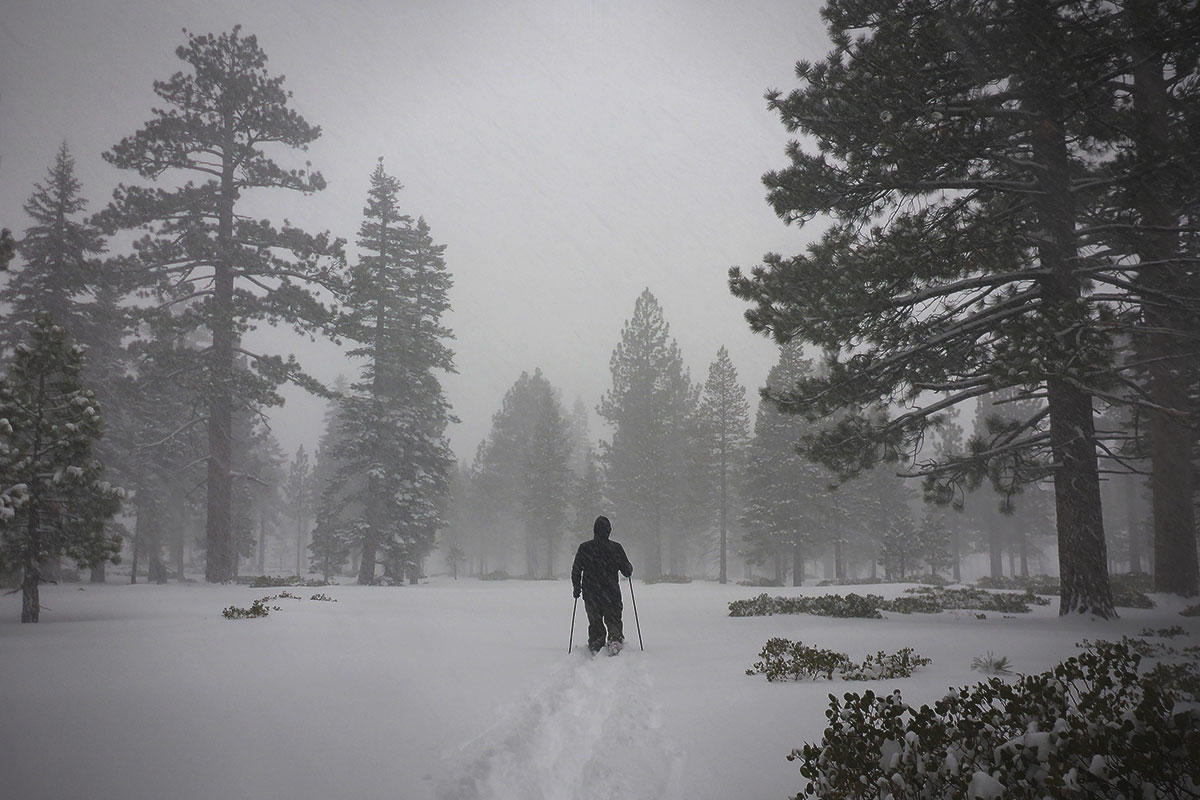 Snowstorm with a cross-country skier traveling through the forest