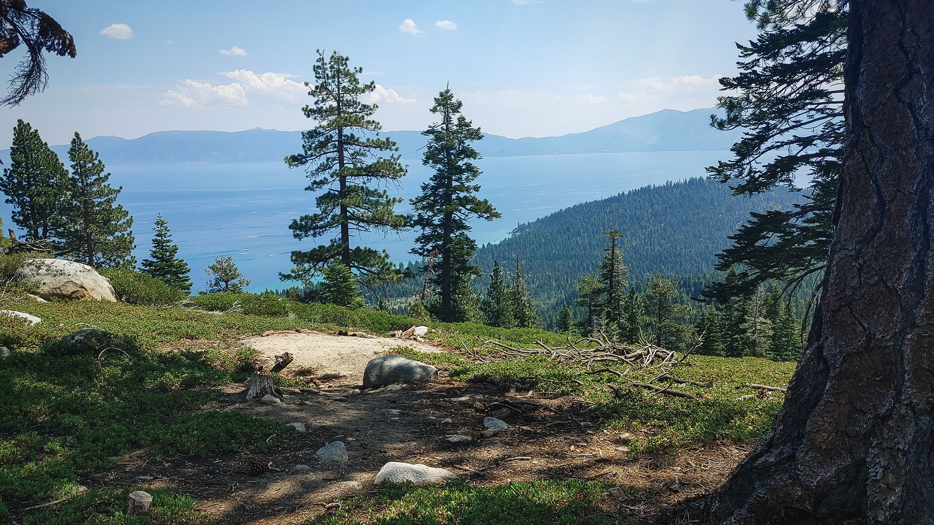 Lake Tahoe with trees and mountains