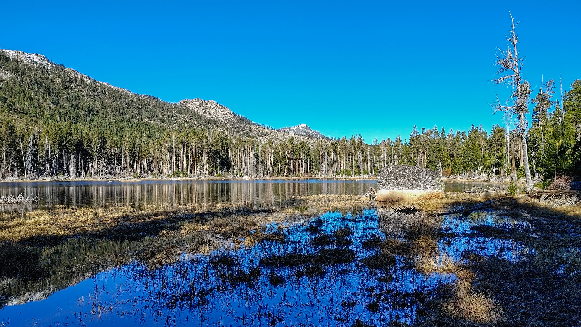 Shallow lake with pine trees, mountains, and blue skies