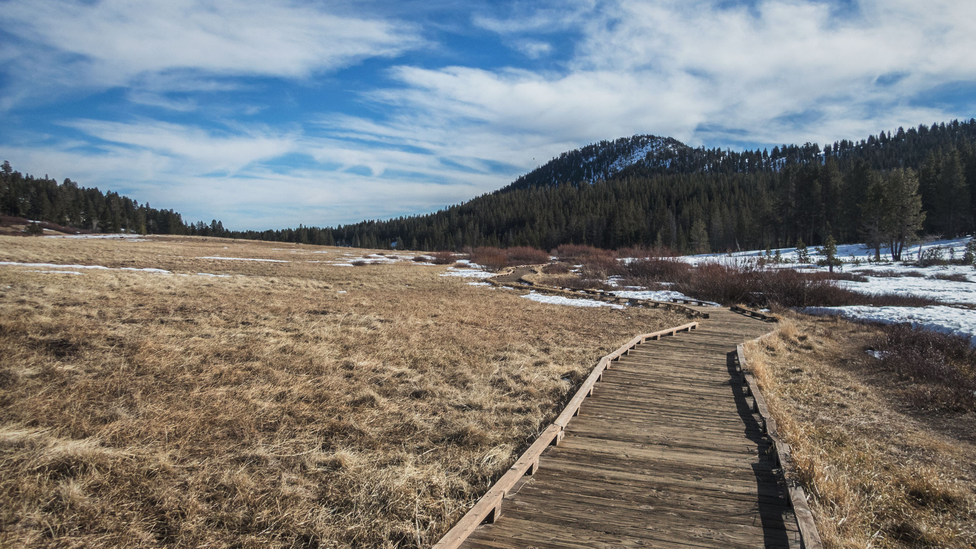 Wooden boardwalk over grassy field with mountains in background