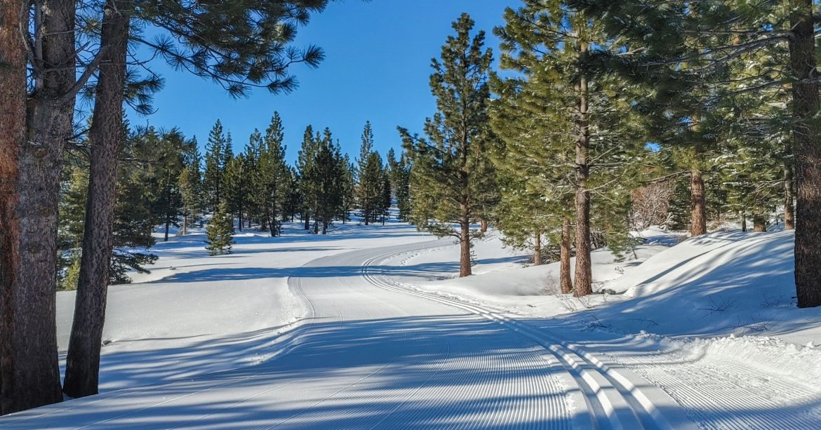 Cross country ski trail through the forest