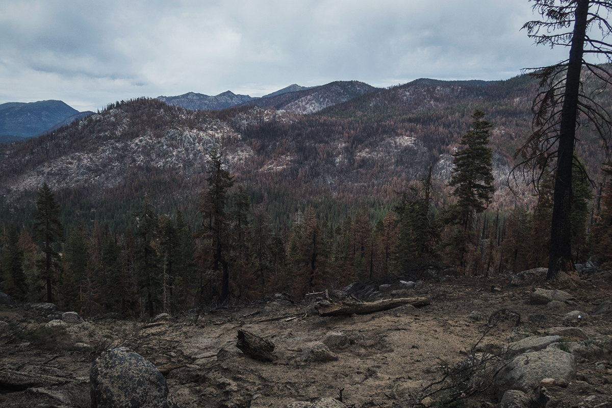 Mountainside that had burned the Caldor Fire