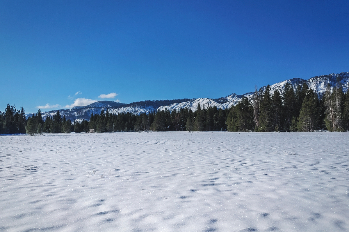 Snowy meadow with forest and mountains.