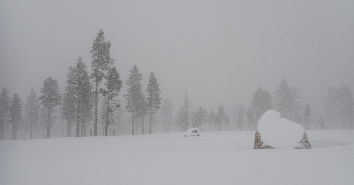 Snowstorm with boulder and pine trees